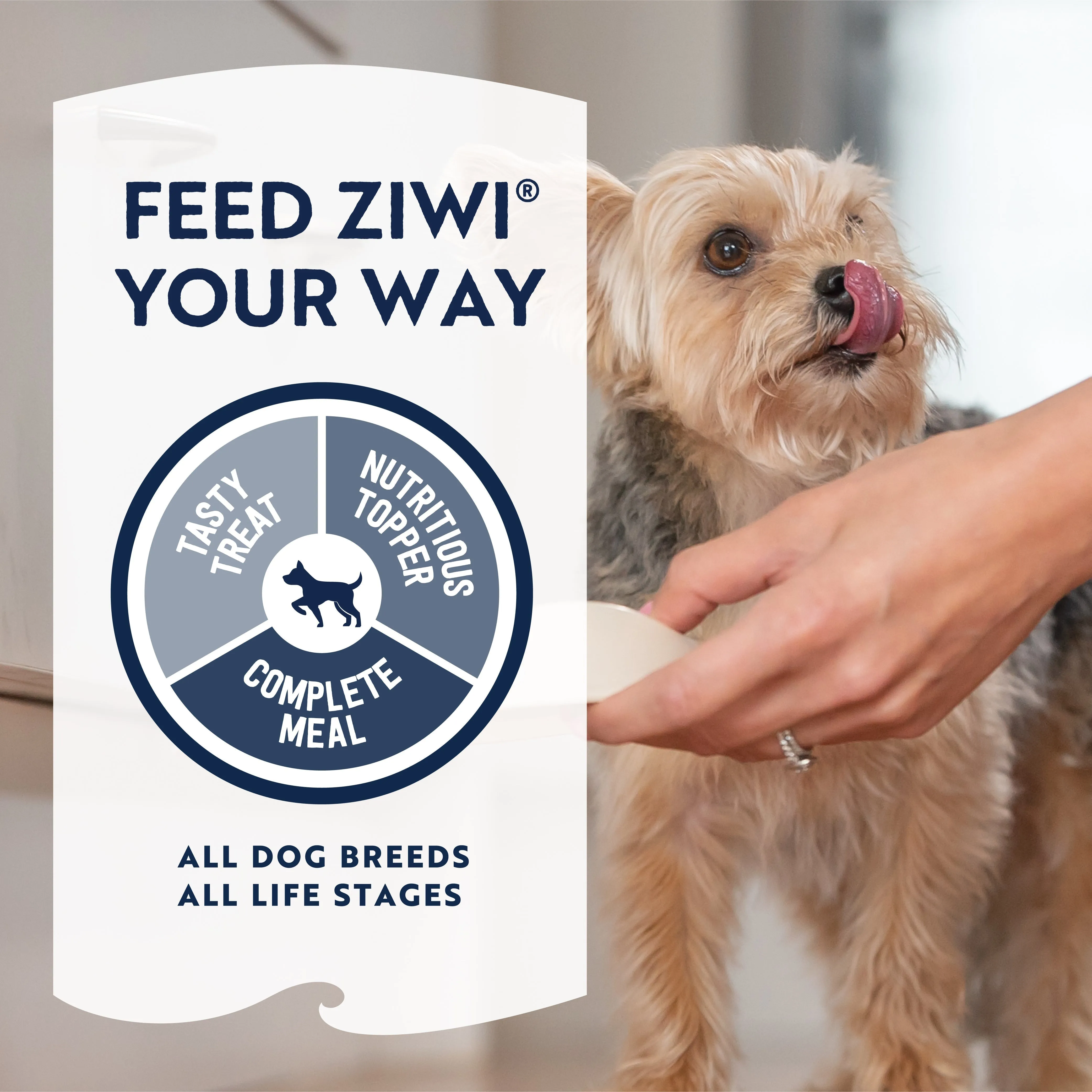 ZIWI Peak Air Dried Lamb Recipe Dog Food 1kg